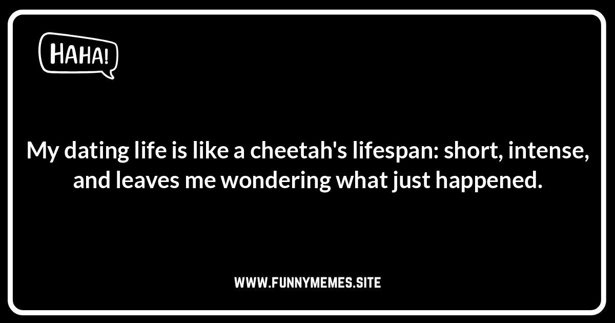 Cheetah Jokes and Riddles: Test Your Speed and Wit Cheetah jokes: Spot-on humor, puns, and memes for laughs.