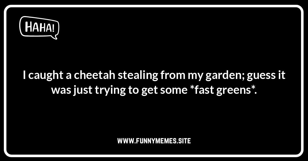 Cheetah Meme Mania: Hilarious Takes on the Fastest Cat Cheetah jokes and puns for laughs. Spot-on humor, wild jokes, purr-fect Instagram captions, and meme mania!