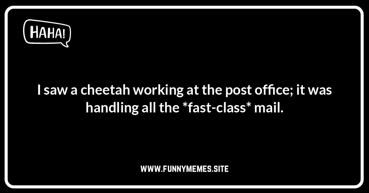 Cheetah One-Liners: Quick Jokes That'll Have You Sprinting with Laughter Cheetah jokes and puns: Funny cheetah meme.