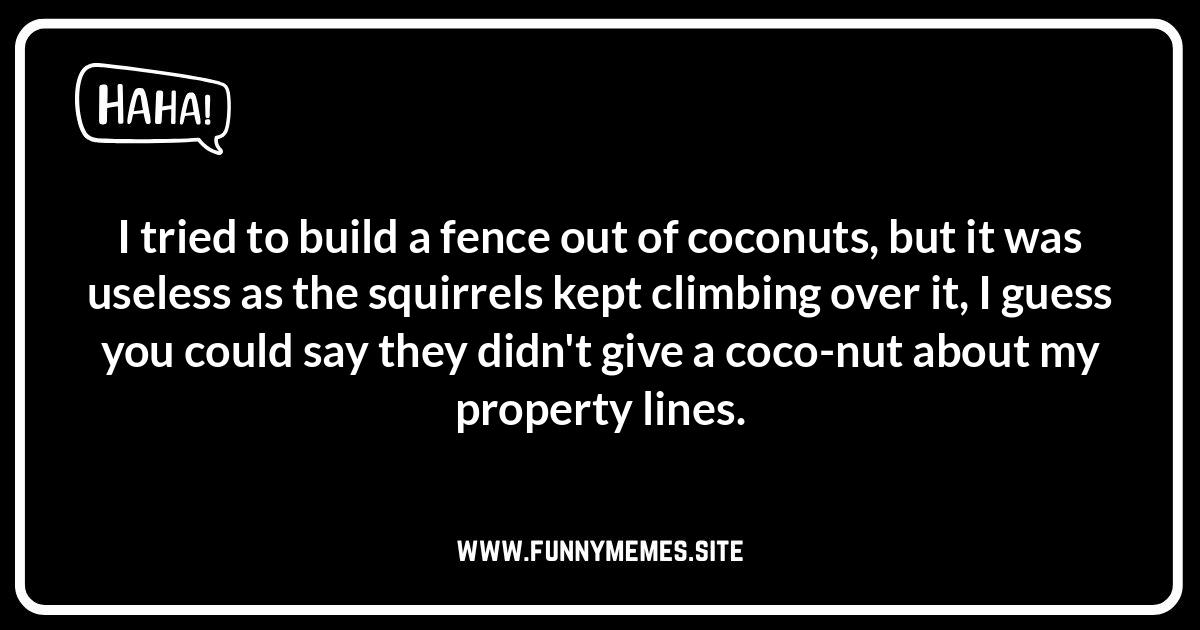 Cracking Up: Adult Humor with Coconut Puns Funny coconut jokes and puns. Nutty humor for kids and adults, from silly sayings to health food jokes, perfect for social media smiles.